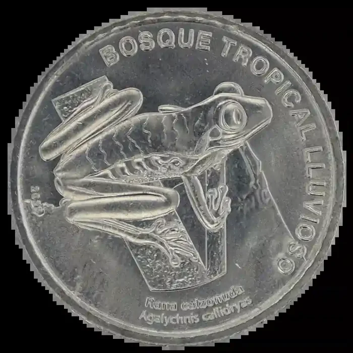 Costa Rica 50 Colones – Grenouille – 2023